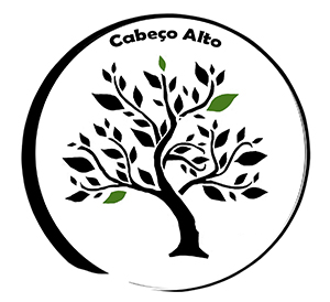 The Tree of Life at Cabeco Alto