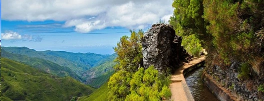 Remote Workers - Nature Haven in Madeira