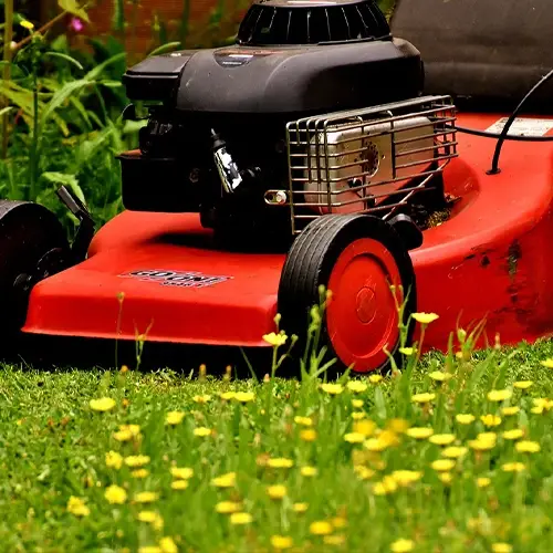 Gardening Volunteer Work at Cabeço Alto Coliving and Coworking