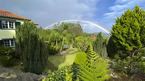 Join our volunteer program at Cabeço Alto Coliving & Cowork Retreat Venue in Madeira