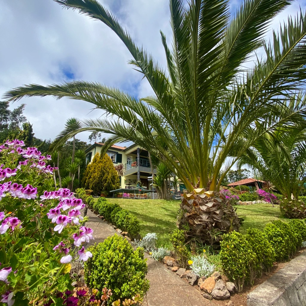 Cabeco Alto Nature Coliving and Coworking in Madeira
