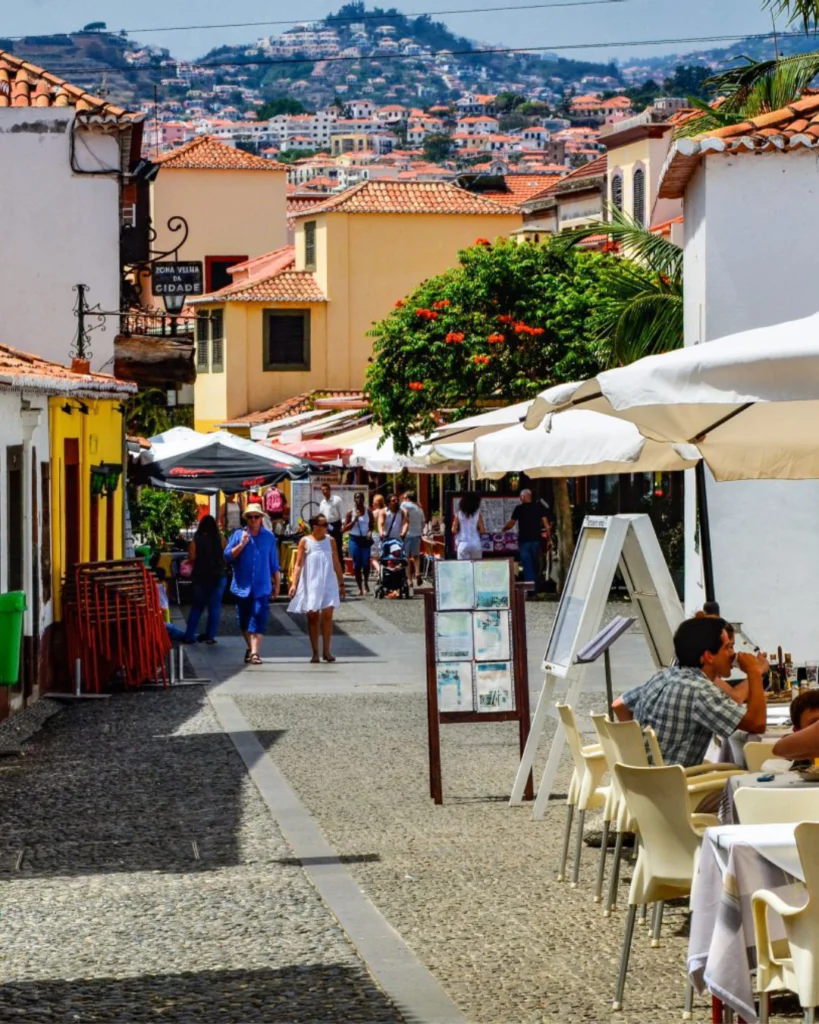 Where should i travel next? Madeira Island ofcourse!